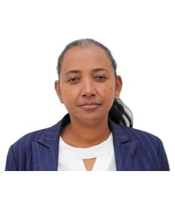 Vololoniaina RAZAFINDRAIBE