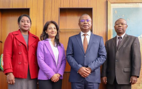 Promotion de la coopération parlementaire entre l’Égypte et Madagascar