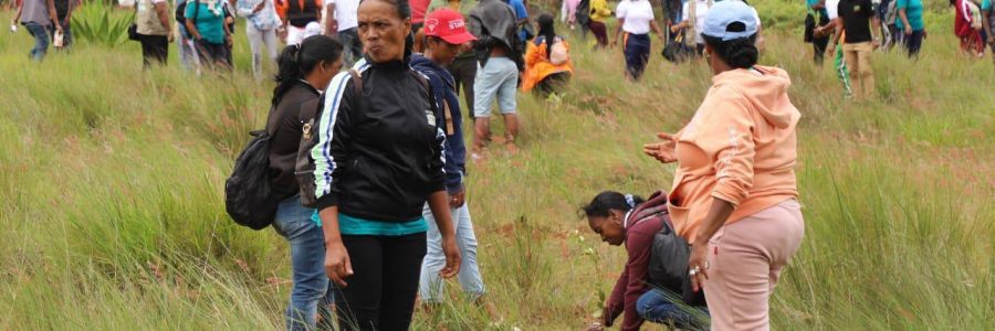 L’Assemblée nationale renforce son engagement pour la reforestation