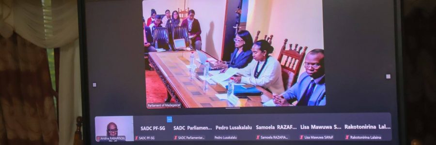 Un webinaire sur les leçons électorales de 2024 dans la région SADC