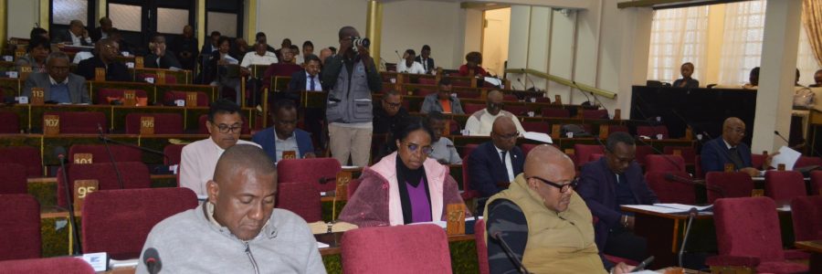 Loi sur l’élection et la désignation des sénateurs adoptée à l’Assemblée nationale